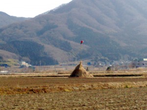 山の近くの珍しいもの