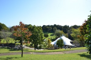 公園内の一部を見下ろしたところ