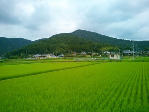 山の中腹よりも上の方に見える屋根が西光院と思われます