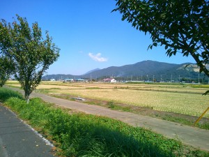 宝篋山の背後から見える筑波山