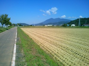 小田、北条辺りの収穫後の水田からの筑波山