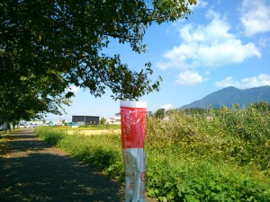 アミノバリューの粉末と筑波山