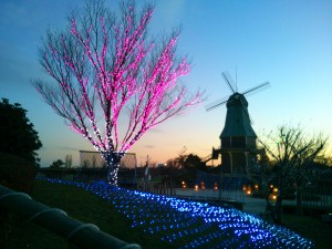 夕方の霞ヶ浦総合公園の風車-木もライトアップ