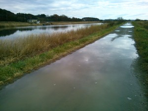 沼岸の道路だけ水溜りだらけ