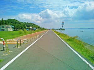 霞ヶ浦一周サイクリング大会での歩崎公園近くの湖岸道路